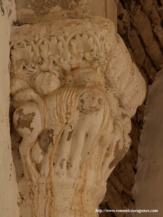 CAPITEL NORTE. LEONES